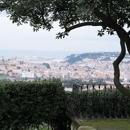 D'Ago48 Bed & Breakfast Ancona Eksteriør bilde